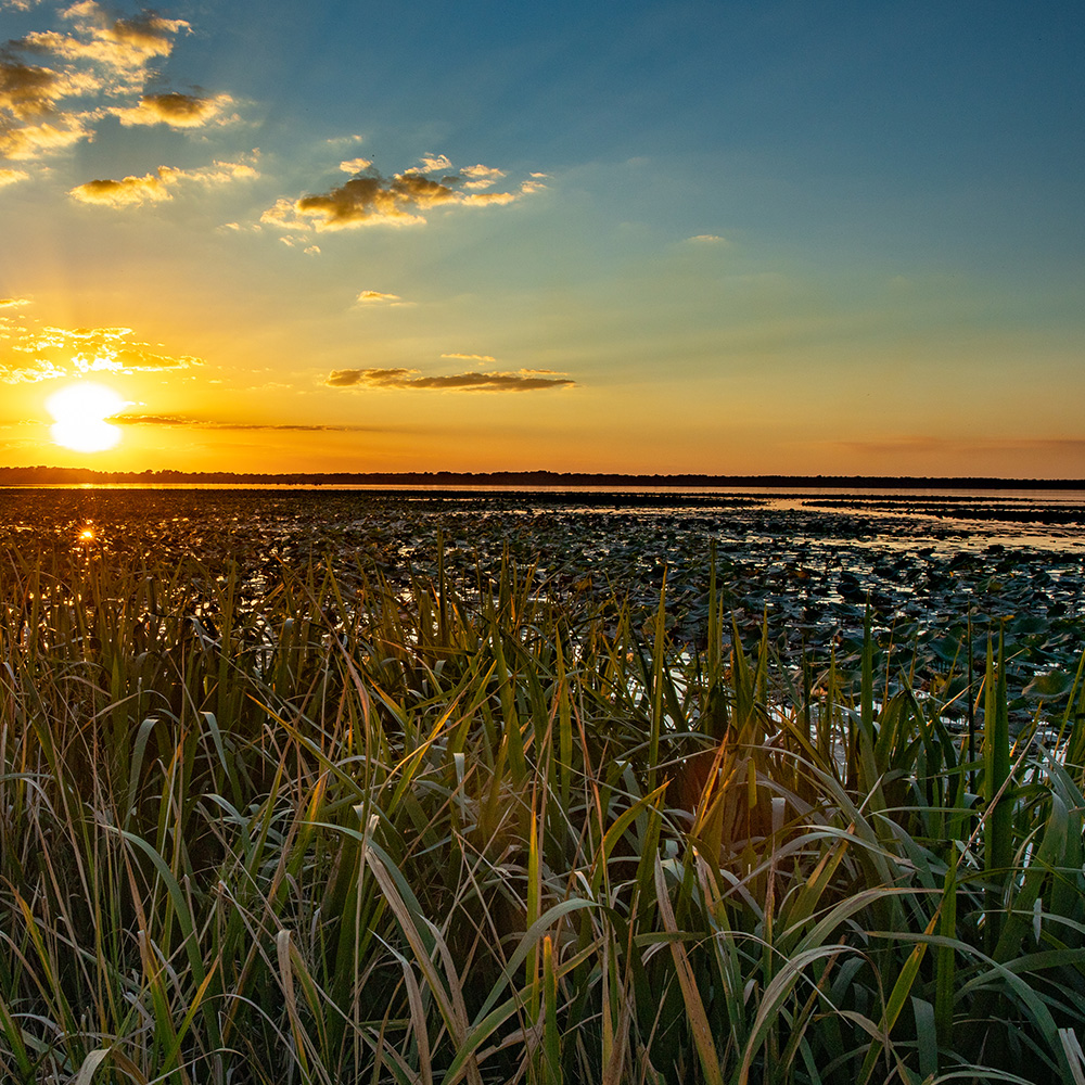 Airbnb's Reelfoot Lake