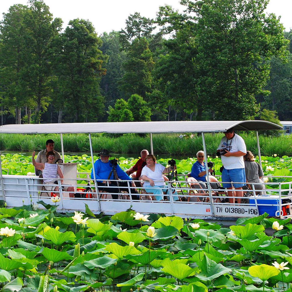 Reelfoot Lake Pontoon Cruises